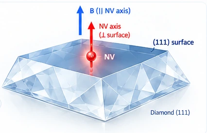 111 diamond with NV axis normal to the surface and magnetic field parallel to the NV axis