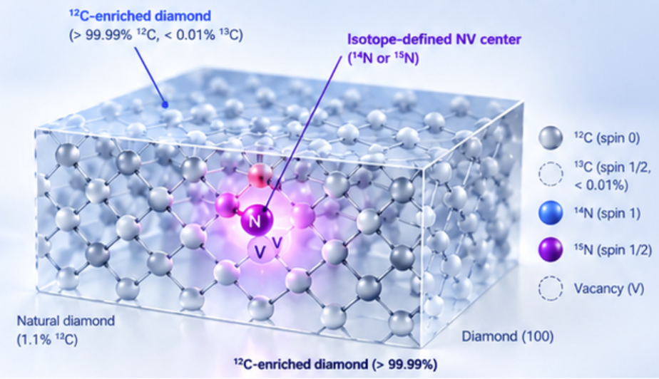 12C-enriched diamond lattice showing strongly reduced 13C spin bath and controlled 14N or 15N isotope-defined NV center